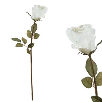 ΧΡΙΣΤΟΥΓ. ΚΛΑΔΙ ΤΡΙΑΝΤΑΦΥΛΛΟ ΣΑΜΠΑΝΙ 70cm.
