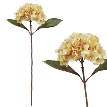 ΧΡΙΣΤΟΥΓ. ΚΛΑΔΙ ΟΡΤΑΝΣΙΑ ΜΠΕΖ  65cm.