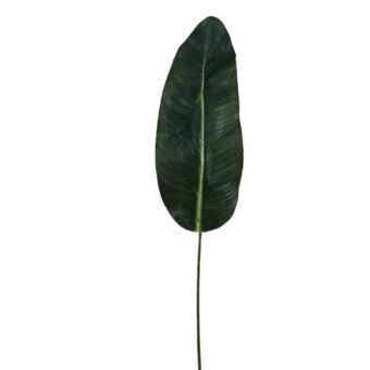 ΠΑΛΜΑ ΦΥΛΛΟ ΚΛΑΔΙ Y80cm.