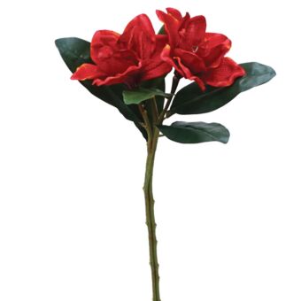 ΚΛΑΔΙ ΚΟΚΚΙΝΟ ΑΝΘΟΣ  Χ2 Y50cm.