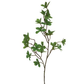 ΚΛΑΔΙ ΚΑΦΕ ΜΕ ΠΡΑΣΙΝΑ ΦΥΛΛΑ Y70cm.
