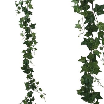 ΓΙΡΛΑΝΤΑ ΚΙΣΣΟΣ ΠΡΑΣΙΝΟΣ Υ185cm