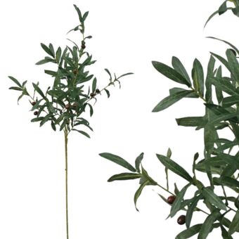 ΚΛΑΔΙ ΕΛΙΑΣ ΜΕ ΚΑΡΠΟΥΣ Y105cm