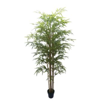 ΔΕΝΤΡΟ ΜΠΑΜΠΟΥ REAL TOUCH ΣΕ ΓΛΑΣΤΡΑ Y180cm