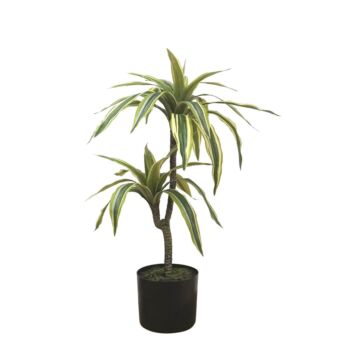 ΤΕΧΝΗΤΟ ΦΥΤΟ ΔΡΑΚΑΙΝΑ ΠΡΑΣΙΝΟ ΔΙΧΡΩΜΟ REAL TOUCH - Υ63cm 6/KΙΒ