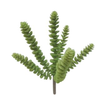 ΡΙΖΑ ΠΑΧΥΦΥΤΟ ΣΕΔΟ ΠΡΑΣΙΝΟ - Υ24cm