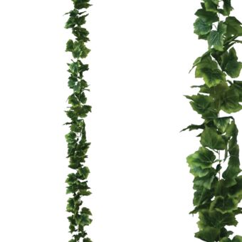 ΓΙΡΛΑΝΤΑ ΚΙΣΣΟΣ ΠΛΑΤΥΦΥΛΛΟΣ ΠΡΑΣΙΝΟ - Y270cm