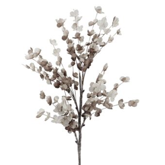 FOAM ΓΚΡΙ  ΕΥΚΑΛΥΠΤΟΣ Y108cm