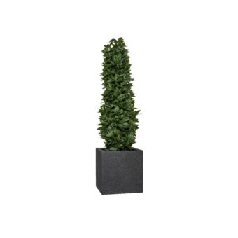 Τετράγωνη Γλάστρα Block L, Midnight Black L 50 x W 50 x H 50
