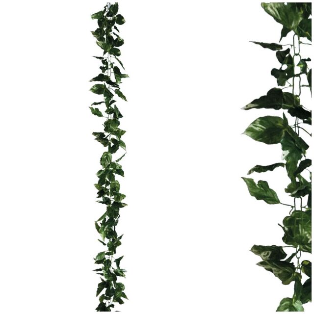 ΓΙΡΛΑΝΤΑ ΠΟΘΟΣ ΔΙΧΡΩΜΟΣ ΑΛΥΣΙΔΑ Y270cm