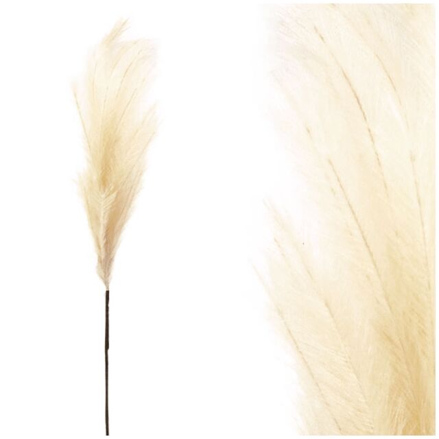 FOAM ΕΚΡΟΥ  PAMPAS  Y117/64cm