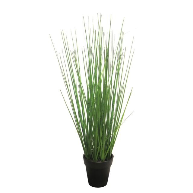 ACORUS ΤΕΧΝΗΤΟ ΠΡΑΣΙΝΑΔΑ ΣΕ ΓΛΑΣΤΡΑ H41cm