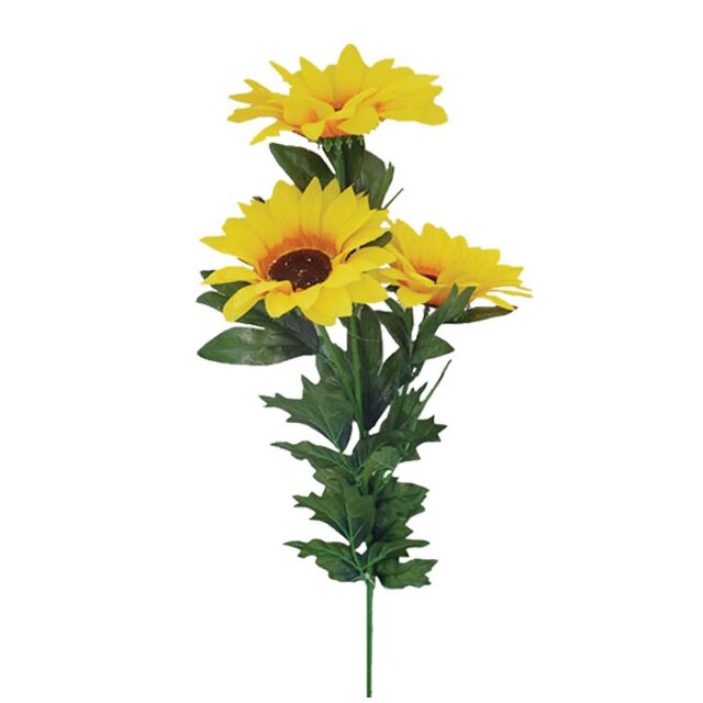 ΚΛΑΔΙ ΗΛΙΟΤΡΟΠΙΟ Χ3 - Y80cm.