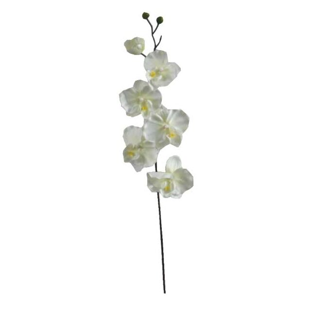 ΚΛΑΔΙ ΟΡΧΙΔΕΑ ΣΑΜΠΑΝΙ Y72cm.