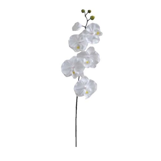 ΚΛΑΔΙ ΟΡΧΙΔΕΑ ΛΕΥΚΟ Y72cm.