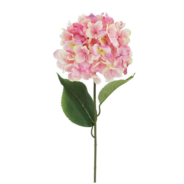 ΚΛΑΔΙ ΟΡΤΑΝΣΙΑ ΡΟΖ Y74cm
