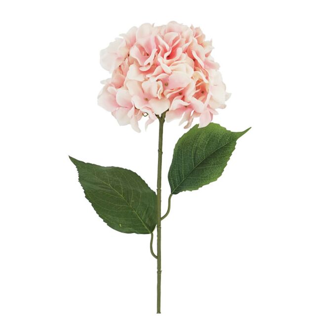 ΚΛΑΔΙ ΟΡΤΑΝΣΙΑ ΣΟΜΟΝ Y74cm