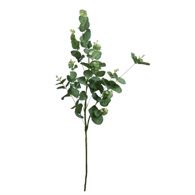 ΚΛΑΔΙ ΕΥΚΑΛΥΠΤΟΣ ΠΡΑΣΙΝΟ Y90cm.