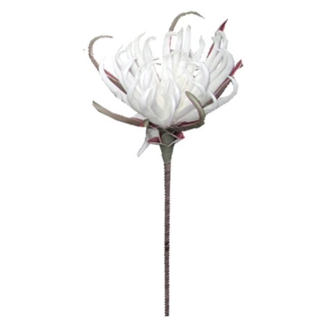 FOAM ΛΕΥΚΟ ΑΓΚΙΝΑΡΑ Y82cm.