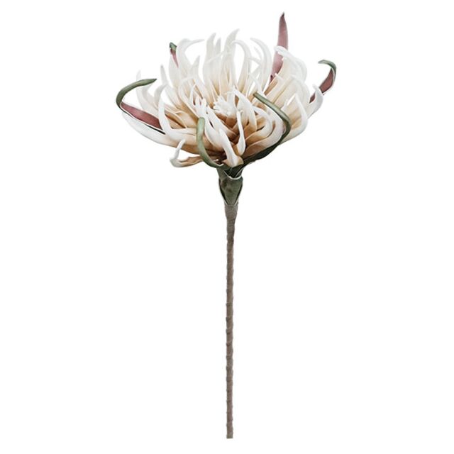 FOAM ΚΑΦΕ ΝΕΟ ΑΓΚΙΝΑΡΑ Y82cm.