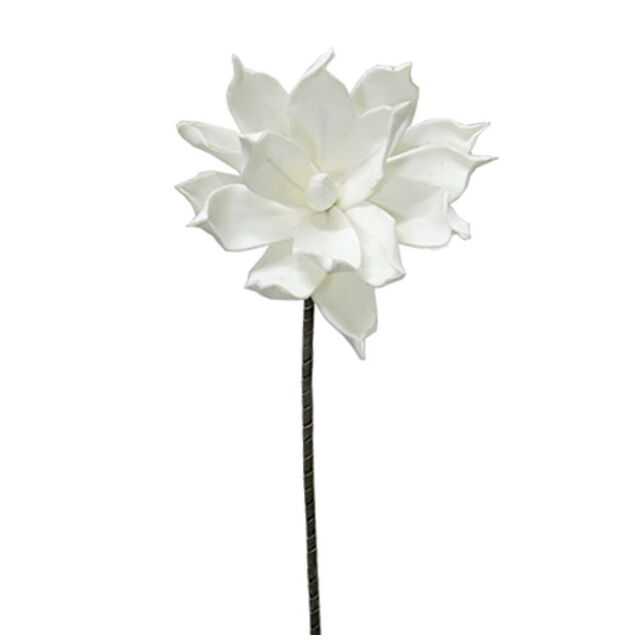 FOAM ΛΕΥΚΟ ΝΟΥΦΑΡΟ Y75cm.