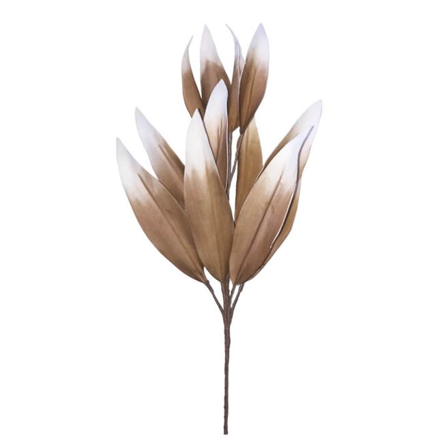 FOAM ΚΑΦΕ ΦΥΛΛΟ  Y85cm