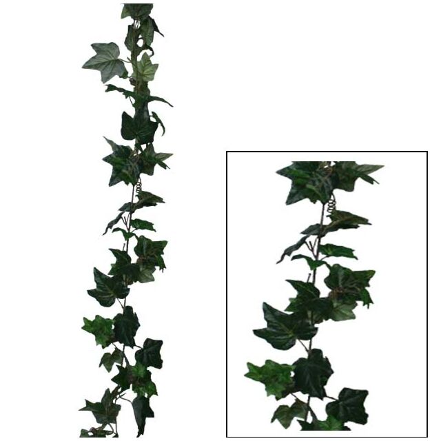 ΓIΡΛΑΝΤΑ ΚΙΣΣΟΣ ΠΡΑΣΙΝΟΣ (122 ΦΥΛΛΑ) Y180cm.