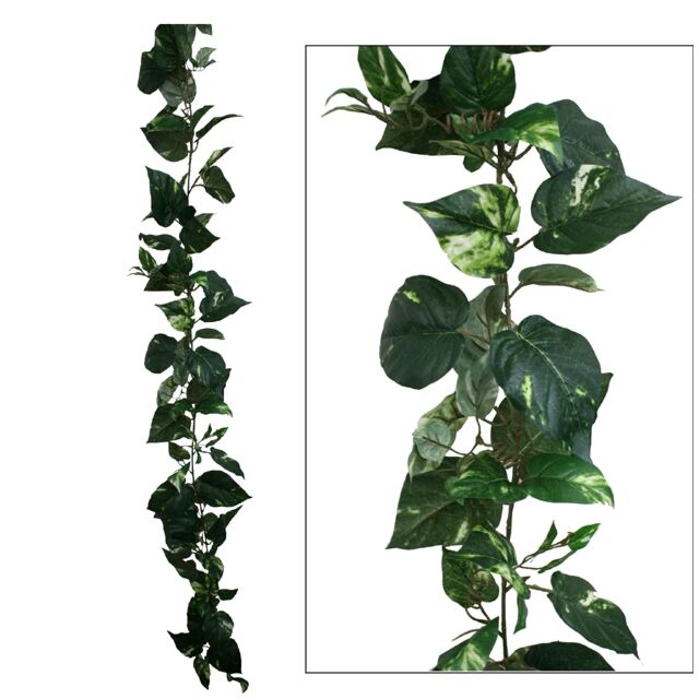 ΓΙΡΛΑΝΤΑ ΠΟΘΟΣ ΔΙΧΡΩΜΟΣ (122 ΦΥΛΛΑ) Y180cm.