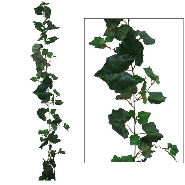 ΓIΡΛΑΝΤΑ ΑΜΠΕΛΙ ΠΡΑΣΙΝΟ (122 ΦΥΛΛΑ) Y180cm.