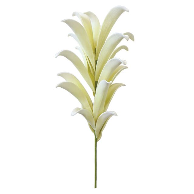 FOAM ΦΥΛΛΟ ΕΚΡΟΥ Υ116cm.