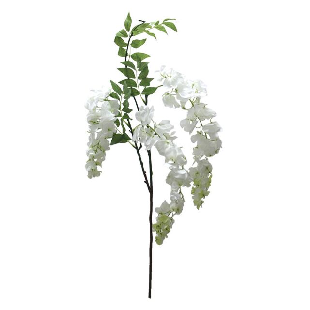 ΚΛΑΔΙ ΑΚΑΚΙΑ ΣΑΜΠΑΝΙ X3 Y75-98cm.