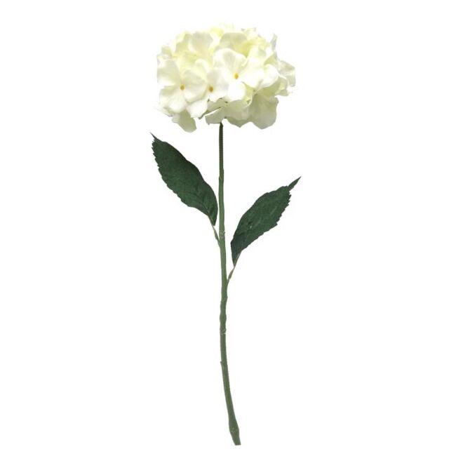 ΚΛΑΔΙ ΟΡΤΑΝΣΙΑ ΕΚΡΟΥ Y60cm.