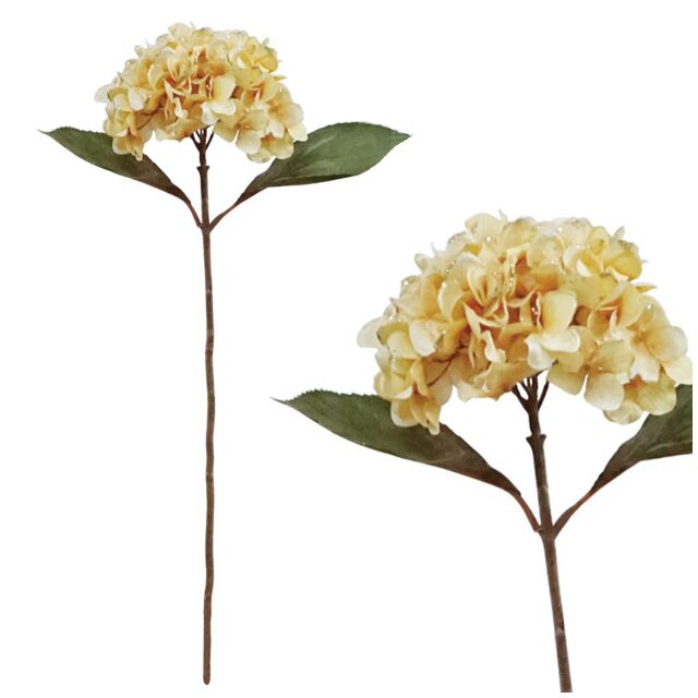 ΧΡΙΣΤΟΥΓ. ΚΛΑΔΙ ΟΡΤΑΝΣΙΑ ΜΠΕΖ  65cm.