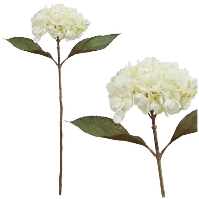 ΧΡΙΣΤΟΥΓ. ΚΛΑΔΙ ΟΡΤΑΝΣΙΑ ΣΑΜΠΑΝΙ 65cm.