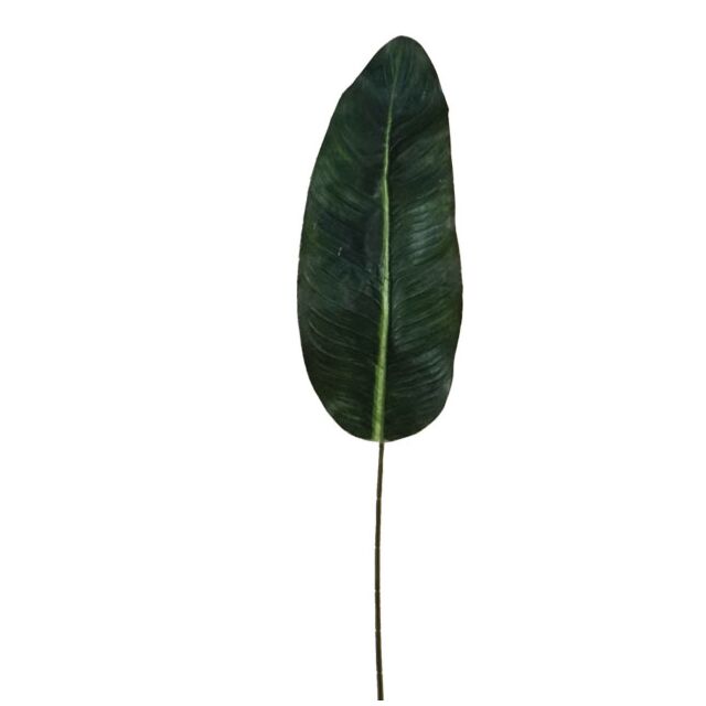 ΠΑΛΜΑ ΦΥΛΛΟ ΚΛΑΔΙ Y80cm.