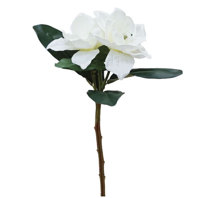ΚΛΑΔΙ ΕΚΡΟΥ ΑΝΘΟΣ  Χ2 Y50cm.