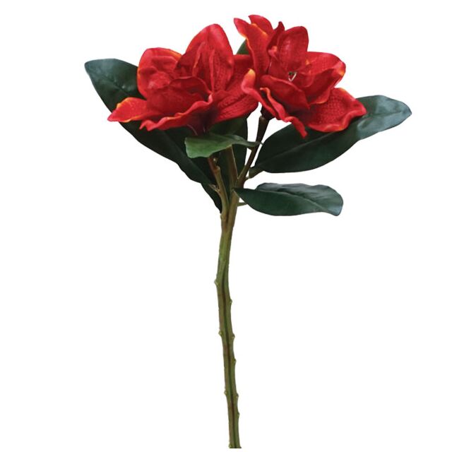 ΚΛΑΔΙ ΚΟΚΚΙΝΟ ΑΝΘΟΣ  Χ2 Y50cm.