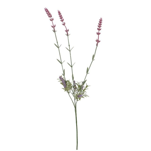 ΚΛΑΔΙ ΛΕΒΑΝΤΑ Χ3 Y70cm
