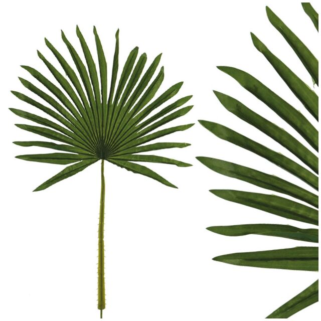 ΚΛΑΔΙ ΦΥΛΛΟ ΜΟΥΝΤΖΑ ΠΡΑΣΙΝΟ Υ69cm