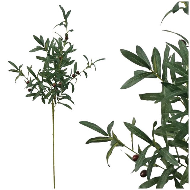 ΚΛΑΔΙ ΕΛΙΑΣ ΜΕ ΚΑΡΠΟΥΣ Y105cm