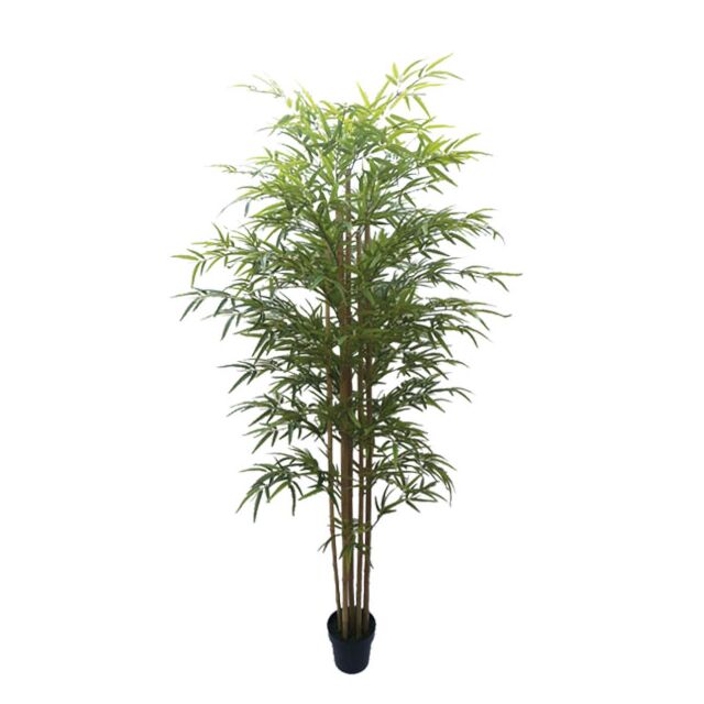 ΔΕΝΤΡΟ ΜΠΑΜΠΟΥ REAL TOUCH ΣΕ ΓΛΑΣΤΡΑ Y180cm