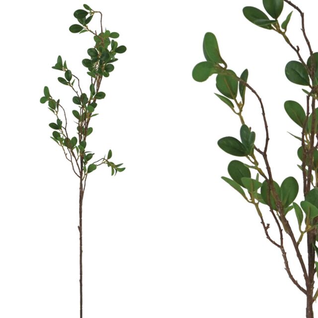 ΚΛΑΔΙ ΜΕ ΠΡΑΣΙΝΑ ΦΥΛΛΑ ΕΥΚΑΜΠΤΟ - Υ113cm
