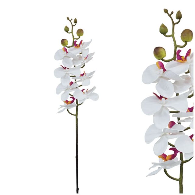 ΚΛΑΔΙ ΦΑΝΕΛΟΨ ΛΕΥΚΟ/ΡΟΖ Υ76cm.