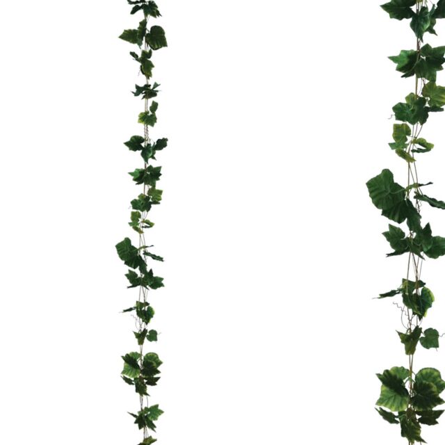 ΓΙΡΛΑΝΤΑ ΠΡΑΣΙΝΟ ΚΙΣΣΟΣ ΠΛΑΤΥΦΥΛΛΟΣ X3 - Υ270cm