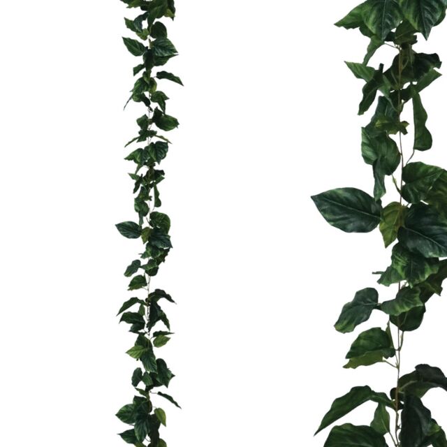 ΓΙΡΛΑΝΤΑ ΠΟΘΟΣ ΠΡΑΣΙΝΟ - Y270cm