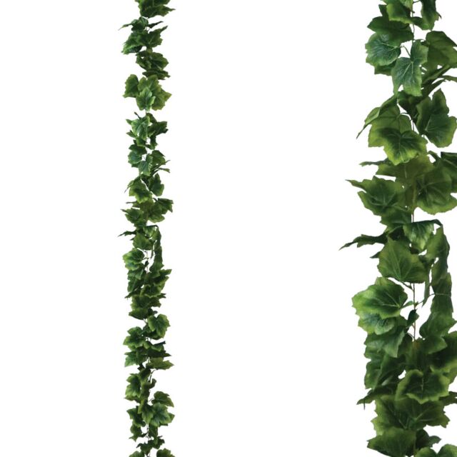 ΓΙΡΛΑΝΤΑ ΚΙΣΣΟΣ ΠΛΑΤΥΦΥΛΛΟΣ ΠΡΑΣΙΝΟ - Y270cm