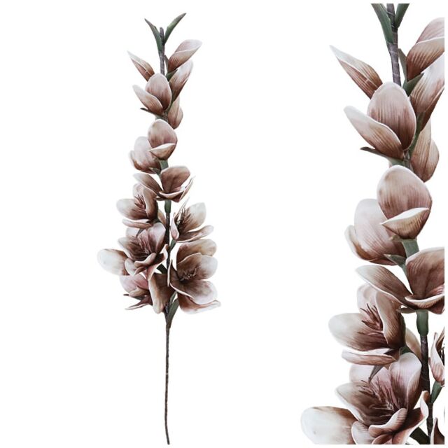 FOAM ΚΑΦΕ ΓΛΑΔΙΟΛΑ Y126cm.