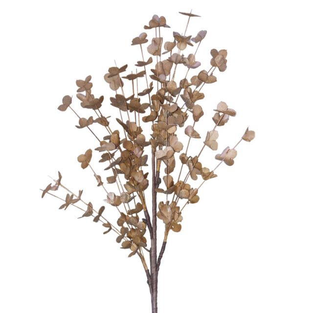 FOAM ΚΛΑΔΙ ΚΑΦΕ ΕΥΚΑΛΥΠΤΟΣ  Y108cm