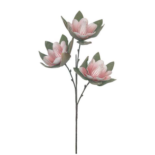 FOAM ΡΟΖ ΜΑΝΩΛΙΑ x3 ΑΝΘΟΣ 35x85cm