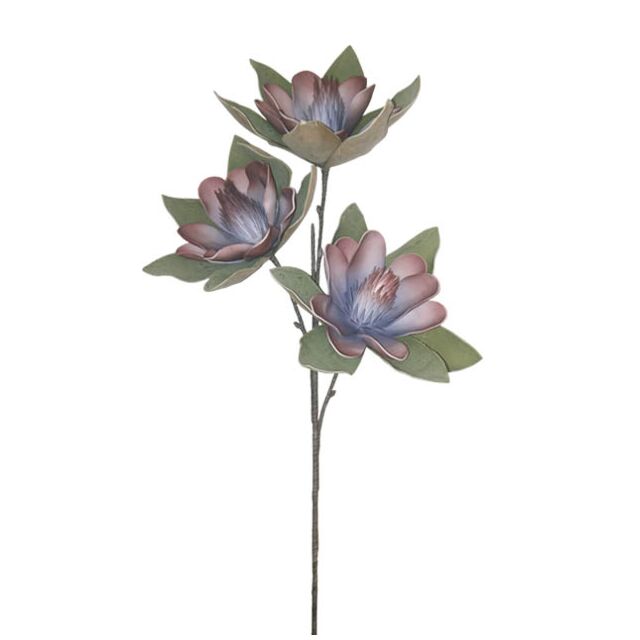 FOAM ΜΠΛΕ-ΚΑΦΕ ΜΑΝΩΛΙΑ x3 ΑΝΘΟΣ 35x85cm